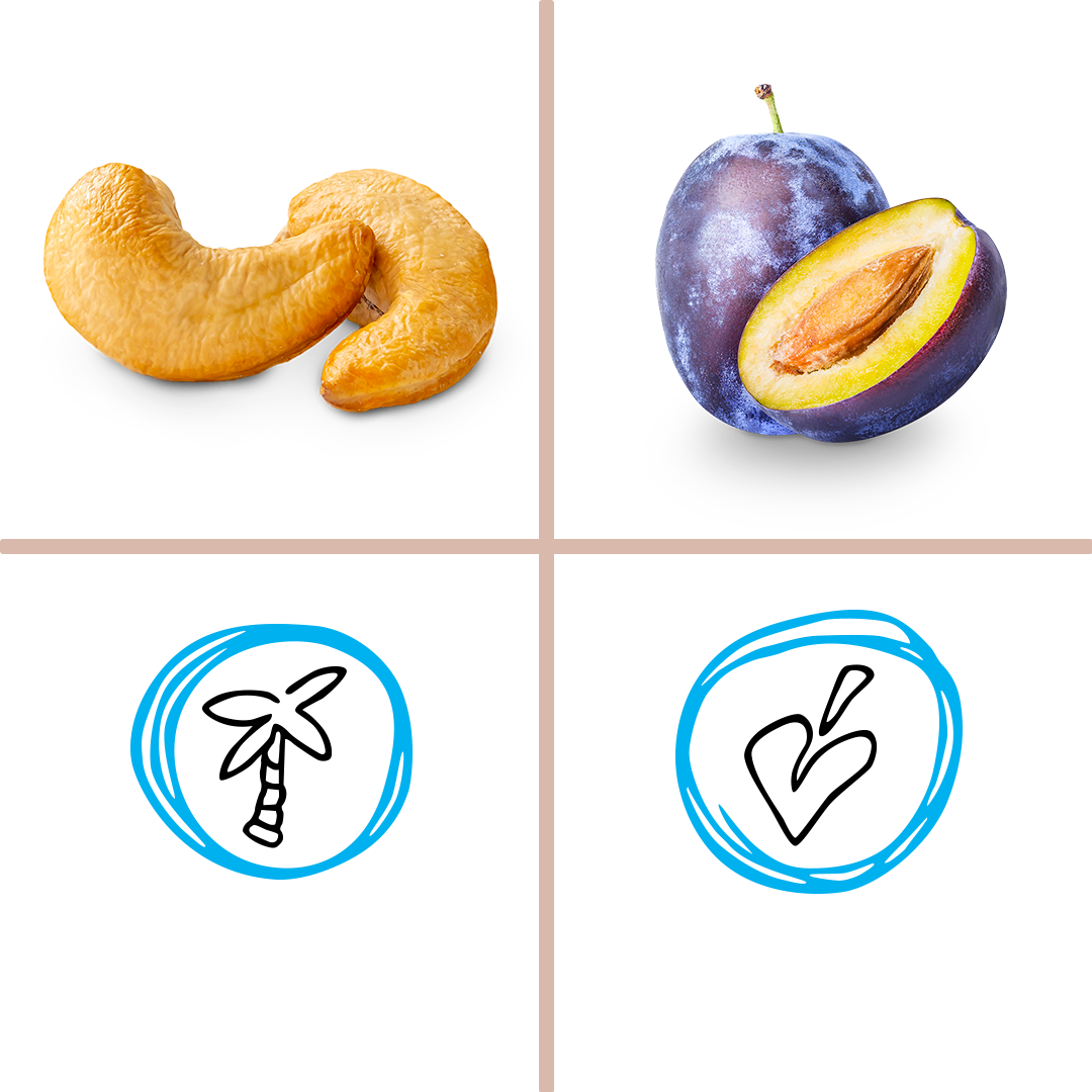 protein_hazelnut_choco